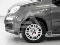 2019 Fiat Panda