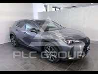 2019 Lexus UX250