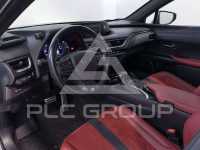 2019 Lexus UX250
