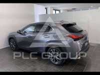 2019 Lexus UX250