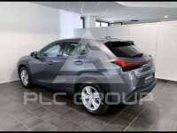 2019 Lexus UX250