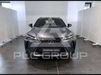 2019 Lexus UX250