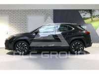 2020 Lexus UX