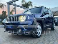 2019 Jeep Renegade