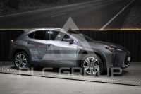 2022 Lexus UX