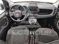 2025 Fiat Panda