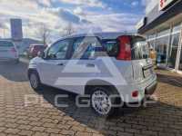 2023 Fiat Panda
