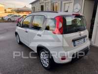 2023 Fiat Panda
