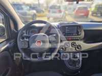2023 Fiat Panda