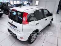 2025 Fiat Panda