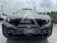 2025 BMW X6