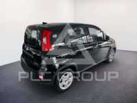 2024 Fiat Panda