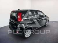 2024 Fiat Panda