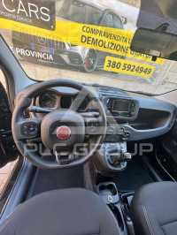 2024 Fiat Panda