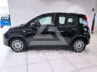 2025 Fiat Panda