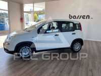 2024 Fiat Panda