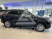 2026 Ford Kuga