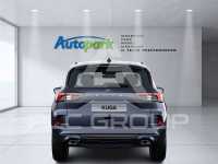 2024 Ford Kuga