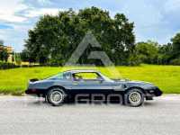 1979 Pontiac TRANS