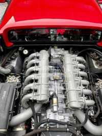 1982 Ferrari 512