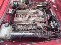 1992 Alfa Romeo Spider