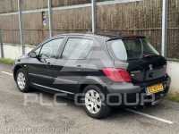 2004 Peugeot 307