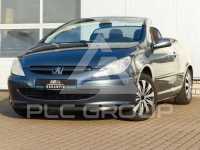 2004 Peugeot 307