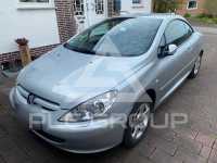 2004 Peugeot 307