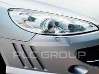 2006 Peugeot 407