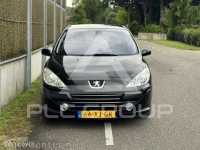 2007 Peugeot 307