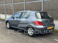 2007 Peugeot 307
