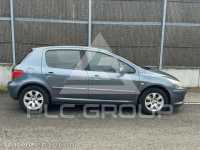 2007 Peugeot 307