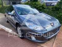 2007 Peugeot 407