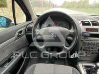 2007 Peugeot 407
