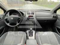 2007 Peugeot 407