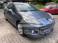 2009 Peugeot 207