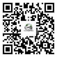 2009 Renault Trafic