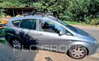 2009 Seat Altea