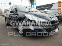 2010 Peugeot 308