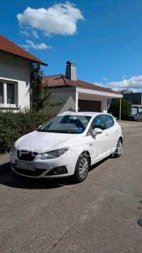 2010 Seat Ibiza