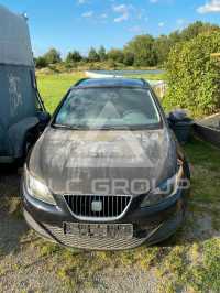 2011 Seat Ibiza