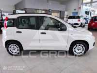 2014 Fiat Panda
