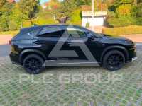 2014 Lexus NX