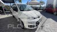 2015 Fiat Panda