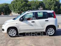 2015 Fiat Panda