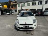 2015 Fiat Punto