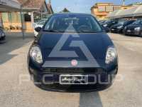 2015 Fiat Punto