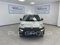 2016 Fiat Panda