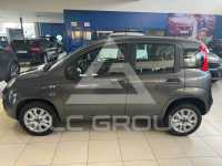 2017 Fiat Panda