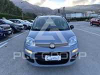 2017 Fiat Panda